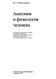 Книга - Анатомия и физиология человека.  М. С. Миловзорова  - прочитать полностью в библиотеке КнигаГо