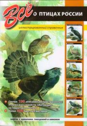 Всё о птицах России. Иллюстрированный справочник. Коллектив авторов
