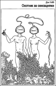 Охотник за сенсациями. Дон Уэбб