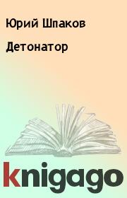Книга - Детонатор.  Юрий Шпаков  - прочитать полностью в библиотеке КнигаГо