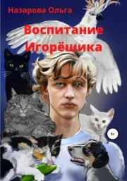 Книга - Воспитание Игорёшика.  Ольга Станиславовна Назарова  - прочитать полностью в библиотеке КнигаГо