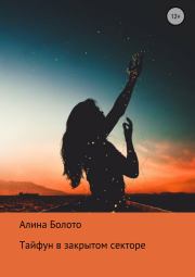 Тайфун в закрытом секторе. Алина Николаевна Болото