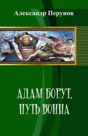 Книга - Адам Борут. Путь воина.  Александр Перунов  - прочитать полностью в библиотеке КнигаГо