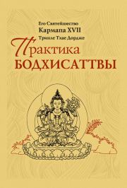 Книга - Практика Бодхисаттвы.  Тринле Тхае Дордже Кармапа XVII  - прочитать полностью в библиотеке КнигаГо