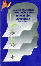 Книга - Три жизни Иосифа Димова.  Андрей Гуляшки  - прочитать полностью в библиотеке КнигаГо