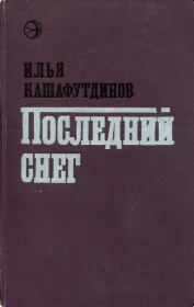 Книга - Последний снег.  Ильгиз Бариевич Кашафутдинов  - прочитать полностью в библиотеке КнигаГо