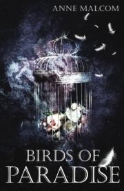 Книга - Райские птички.  Энн Малком  - прочитать полностью в библиотеке КнигаГо