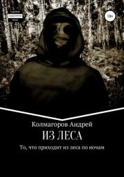Книга - Из леса.  Андрей Евгеньевич Колмагоров  - прочитать полностью в библиотеке КнигаГо