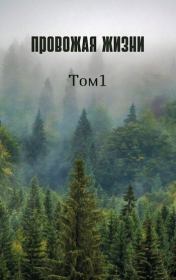 Провожая жизни. Том 1 (СИ).  Loki