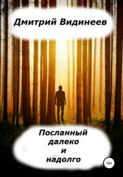 Книга - Посланный далеко и надолго.  Дмитрий Александрович Видинеев  - прочитать полностью в библиотеке КнигаГо