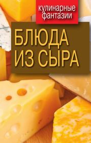 Книга - Блюда из сыра.  Гера Марксовна Треер  - прочитать полностью в библиотеке КнигаГо