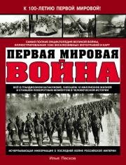 Первая Мировая война. Илья Викторович Песков
