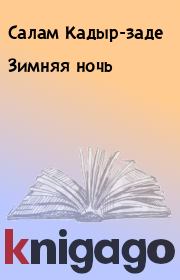 Книга - Зимняя ночь.  Салам Кадыр-заде  - прочитать полностью в библиотеке КнигаГо