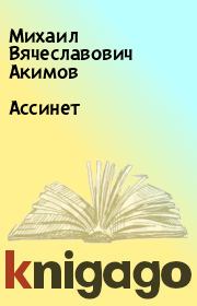 Книга - Ассинет.  Михаил Вячеславович Акимов  - прочитать полностью в библиотеке КнигаГо