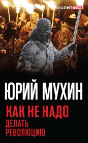 Книга - Как не надо делать революцию.  Юрий Игнатьевич Мухин  - прочитать полностью в библиотеке КнигаГо