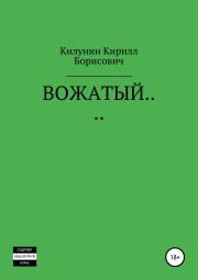 Книга - Вожатый….  Кирилл Борисович Килунин  - прочитать полностью в библиотеке КнигаГо
