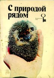 С природой рядом. Л Коломенская