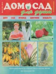 Дом и сад для души 2013 №01(61).  журнал Дом и сад для души