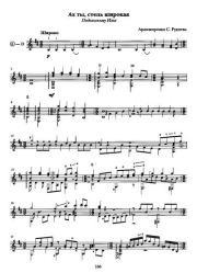 Ах ты, степь широкая. Сергей Иванович Руднев (Гитарист)