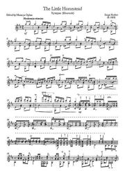 Хуторок. Сергей Иванович Руднев (Гитарист)