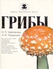 Грибы. Нина Петровна Черепанова