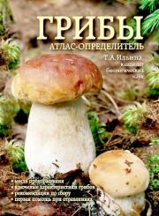 Грибы. Атлас-определитель. Татьяна Александровна Ильина