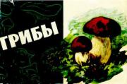 Грибы. Борис Павлович Васильков