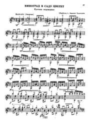 Виноград в саду цветет. Александр Михайлович Иванов-Крамской (Гитарист)