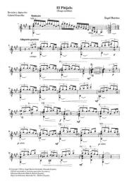 El Pitijolo. Анхель Барриос (Гитарист)