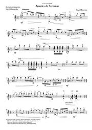 Apuntes de Serranas. Анхель Барриос (Гитарист)