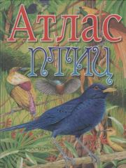 Атлас птиц. Владимир Григорьевич Бабенко