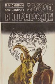 Звери в природе. Владимир Моисеевич Смирин