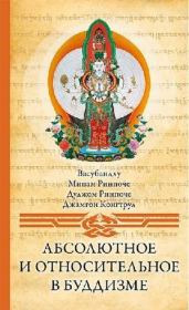 Книга - Абсолютное и относительное в буддизме.   Васубандху  - прочитать полностью в библиотеке КнигаГо