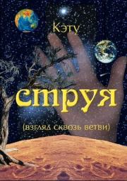 Светлана Черникова - Струя (взгляд сквозь ветви). Светлана Анатольевна Черникова (Кэту)