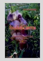 Светлана Черникова - Голубой цветок. Светлана Анатольевна Черникова (Кэту)