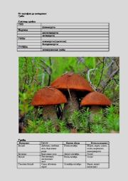 От вольфии до посидонии. Николай Михайлович Сухомозский