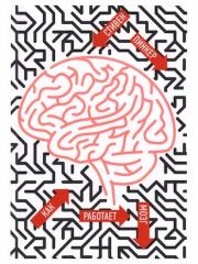 Как работает мозг. Стивен Пинкер