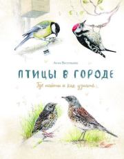 Книга - Птицы в городе. Где найти и как узнать.  Анна Васильева  - прочитать полностью в библиотеке КнигаГо