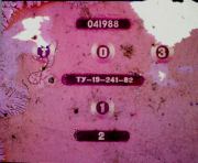 Внешнеполитическая стратегия партии. Л. Елин