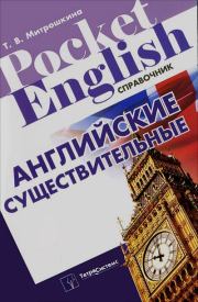 Английские существительные. Справочник. Татьяна Викторовна Митрошкина