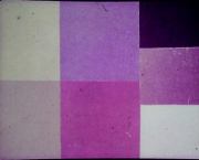 Геометрические фигуры и их взаимное расположение. Анатолий Михайлович Пышкало