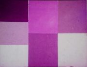 Прямоугольник, его периметр и площадь. Анатолий Михайлович Пышкало