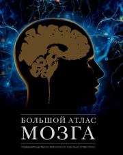Большой атлас мозга. Жан-Клод Ламьель