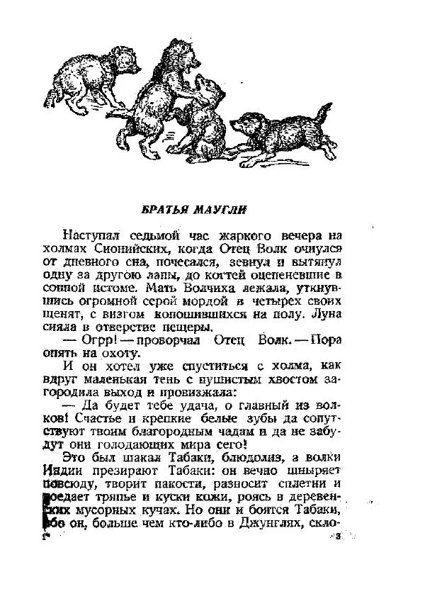 Книгаго: Маугли. Иллюстрация № 5