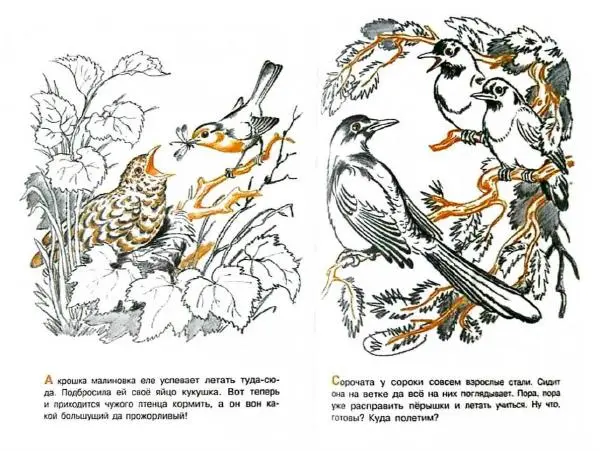 Книгаго: Летом. Иллюстрация № 8