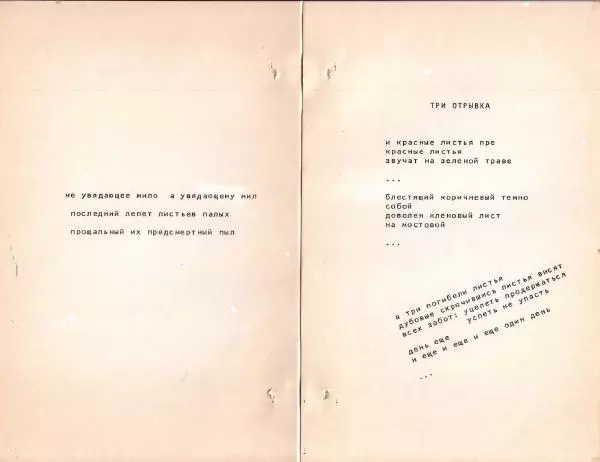 Книгаго: 44. Иллюстрация № 29