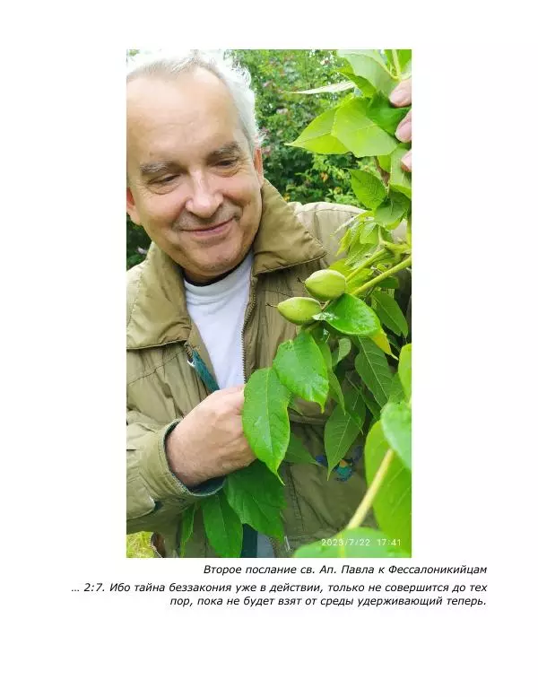 Книгаго: Преображение. Иллюстрация № 3