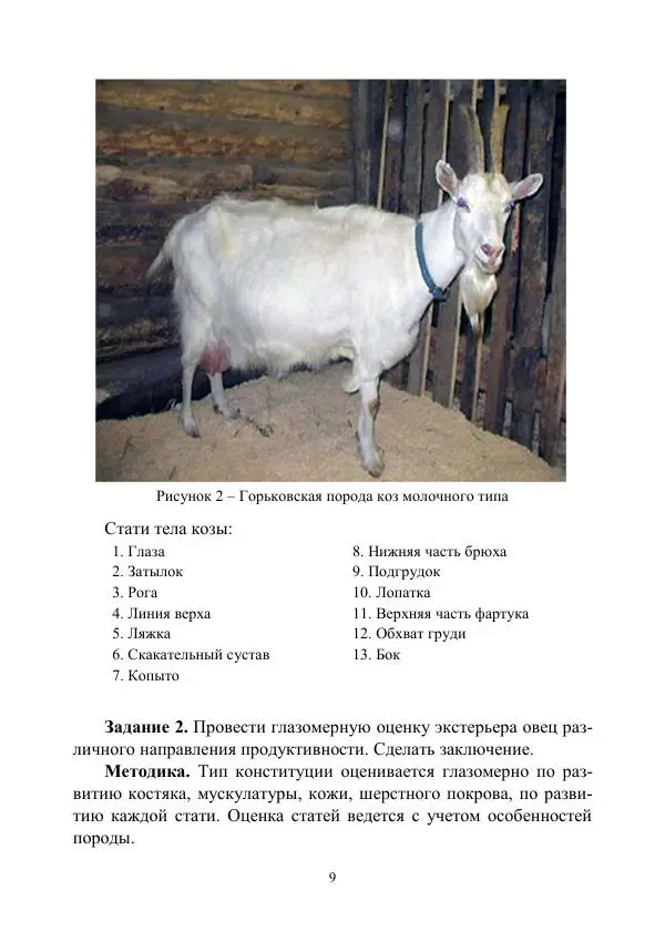 Книгаго: Овцеводство и козоводство. Учебно-методическое пособие. Иллюстрация № 9