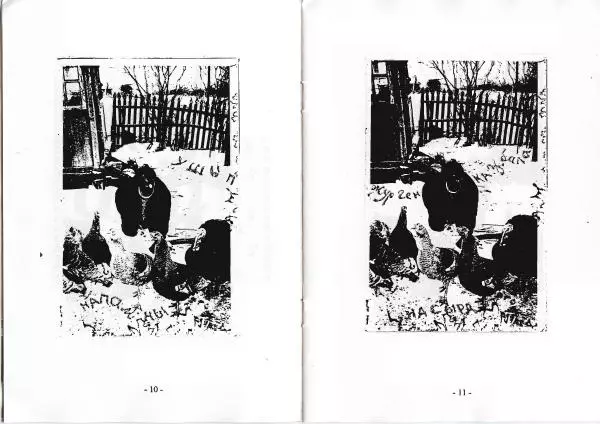 Книгаго: Z. Иллюстрация № 6