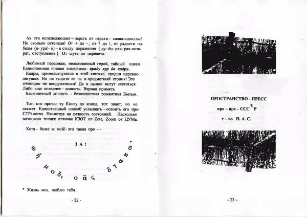 Книгаго: Z. Иллюстрация № 12